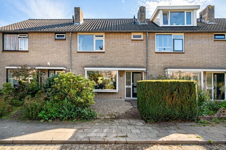 Breeschotenlaan thumbnail