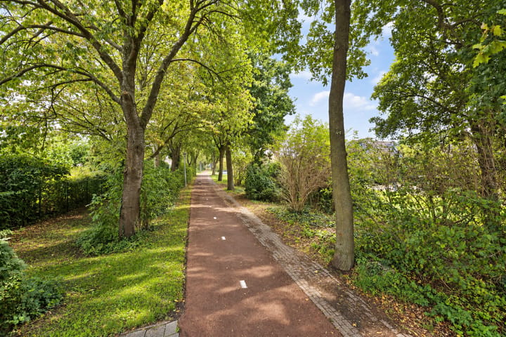 Photo 4 of Brederode 8