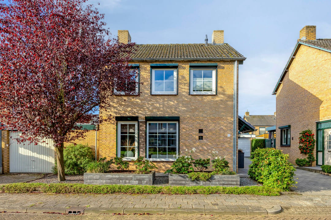 Photo 31 of Théodore Schaepkensstraat 1