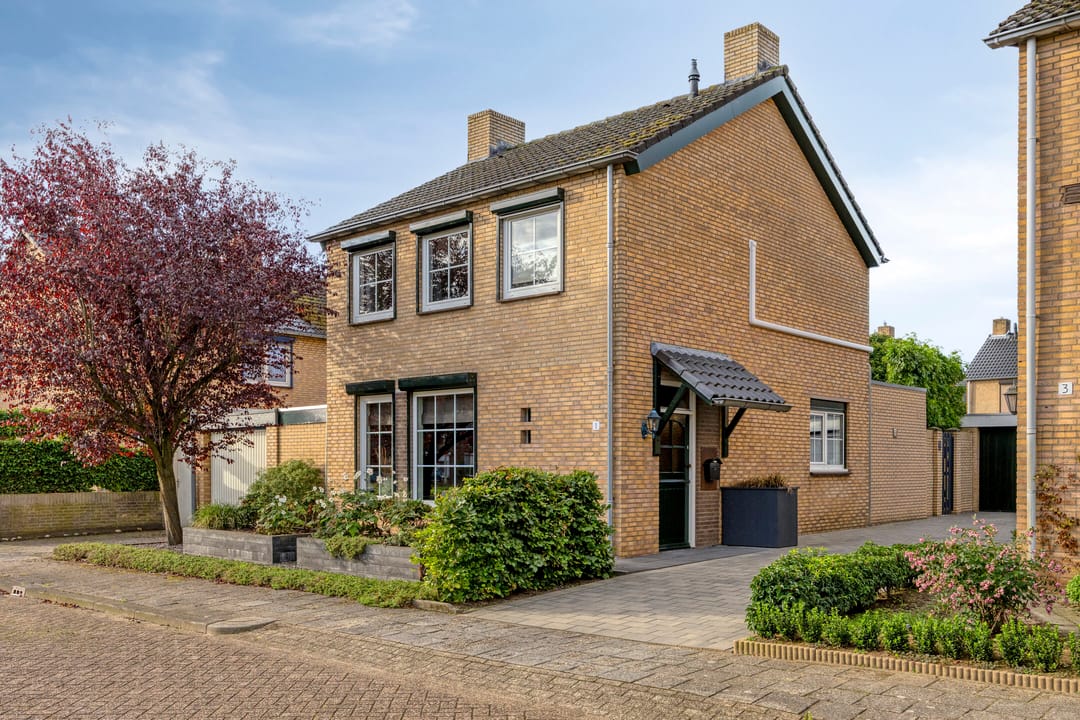 Photo 1 of Théodore Schaepkensstraat 1