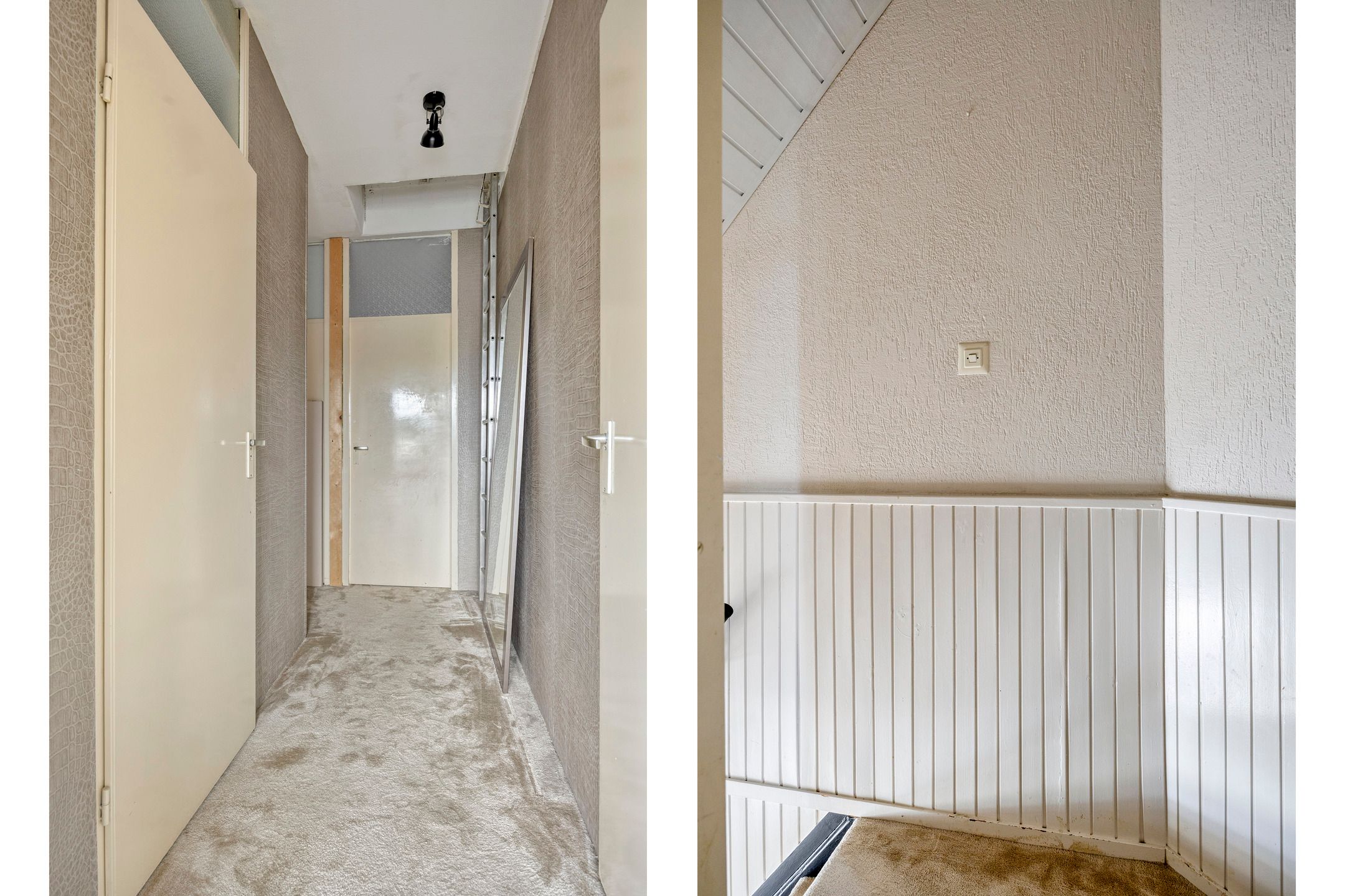 Photo 6 of Zilverdistel 13