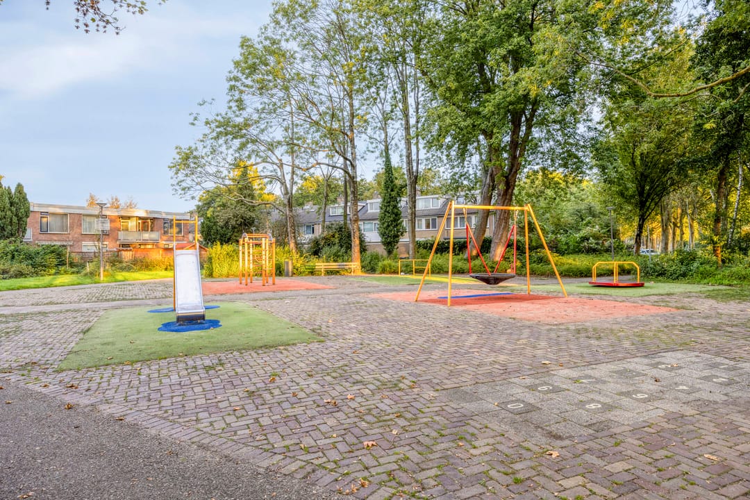 Photo 38 of Zilverdistel 13