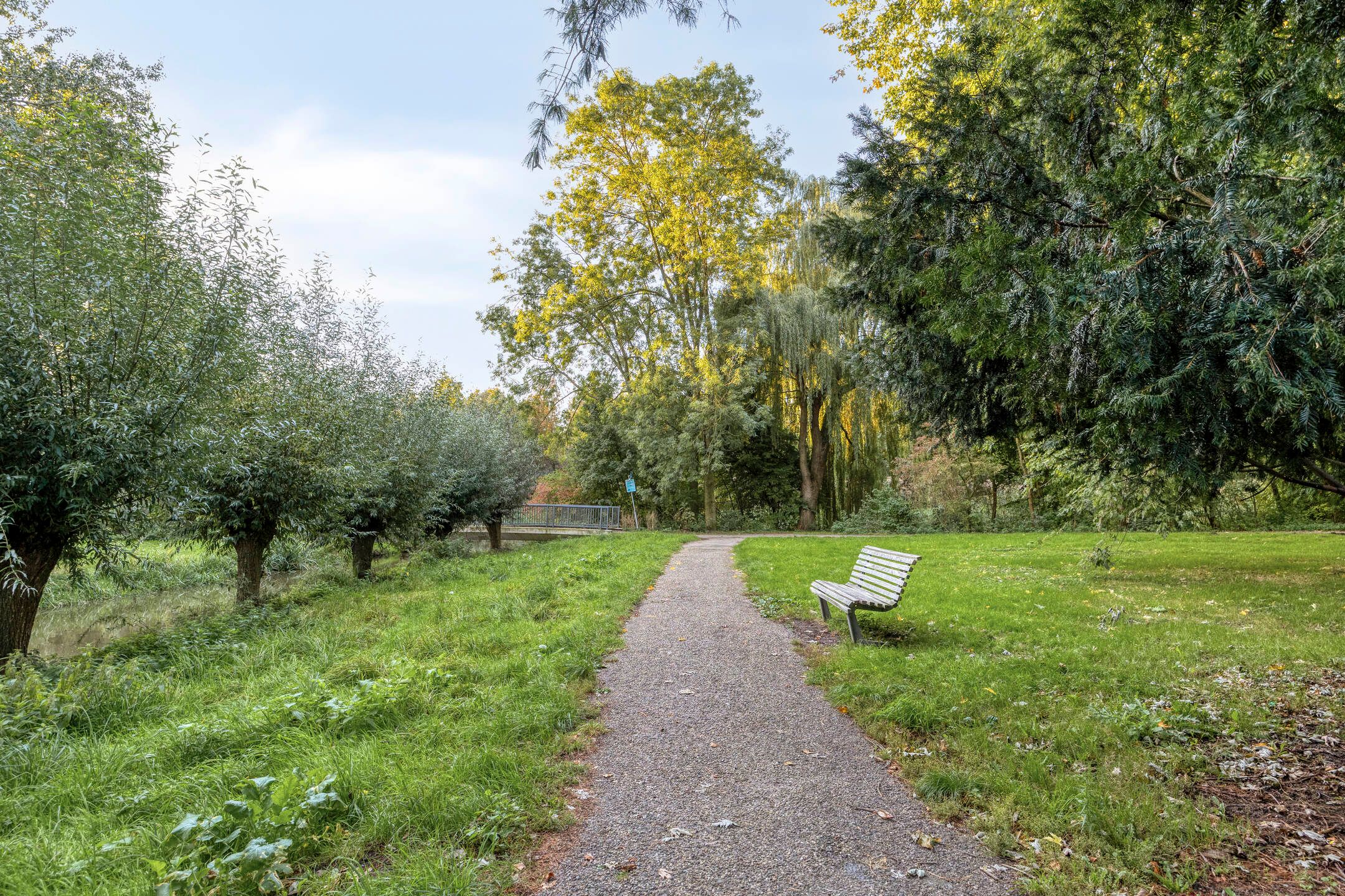 Photo 39 of Zilverdistel 13