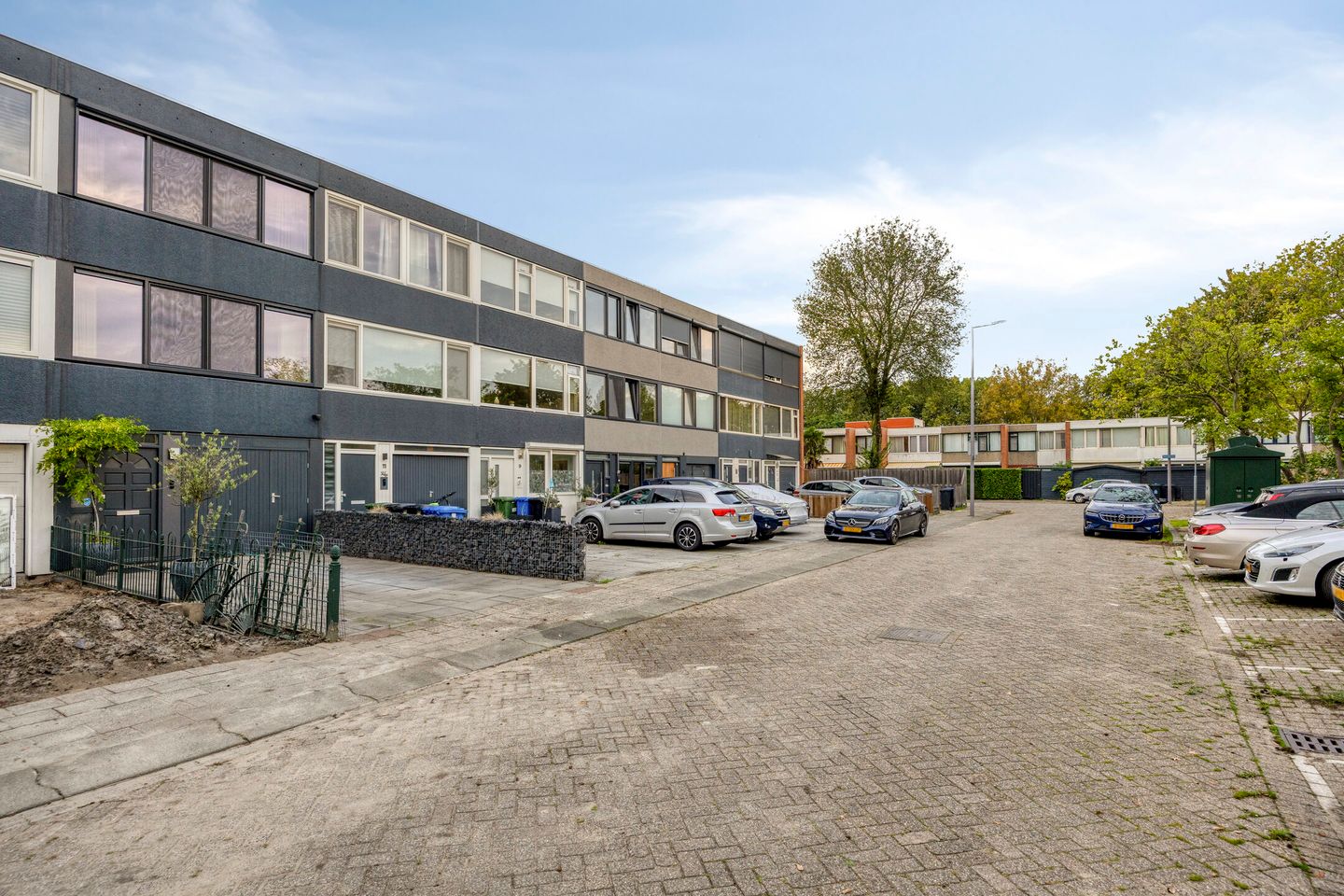 Photo 34 of Zilverdistel 13