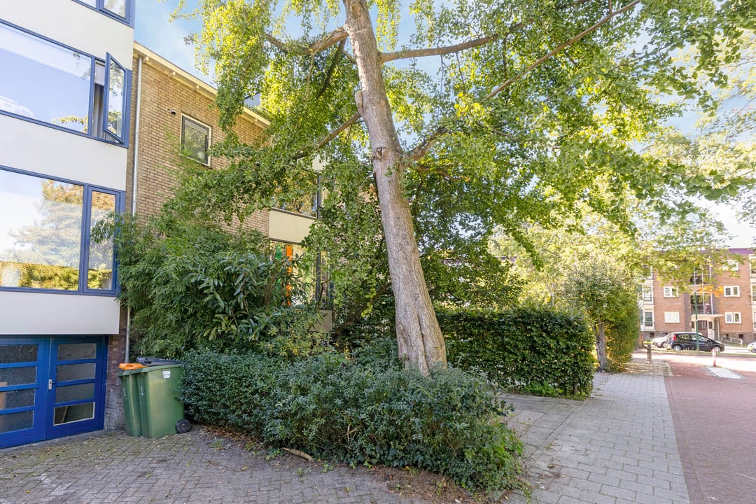 Foto 41 van Rembrandtlaan 49