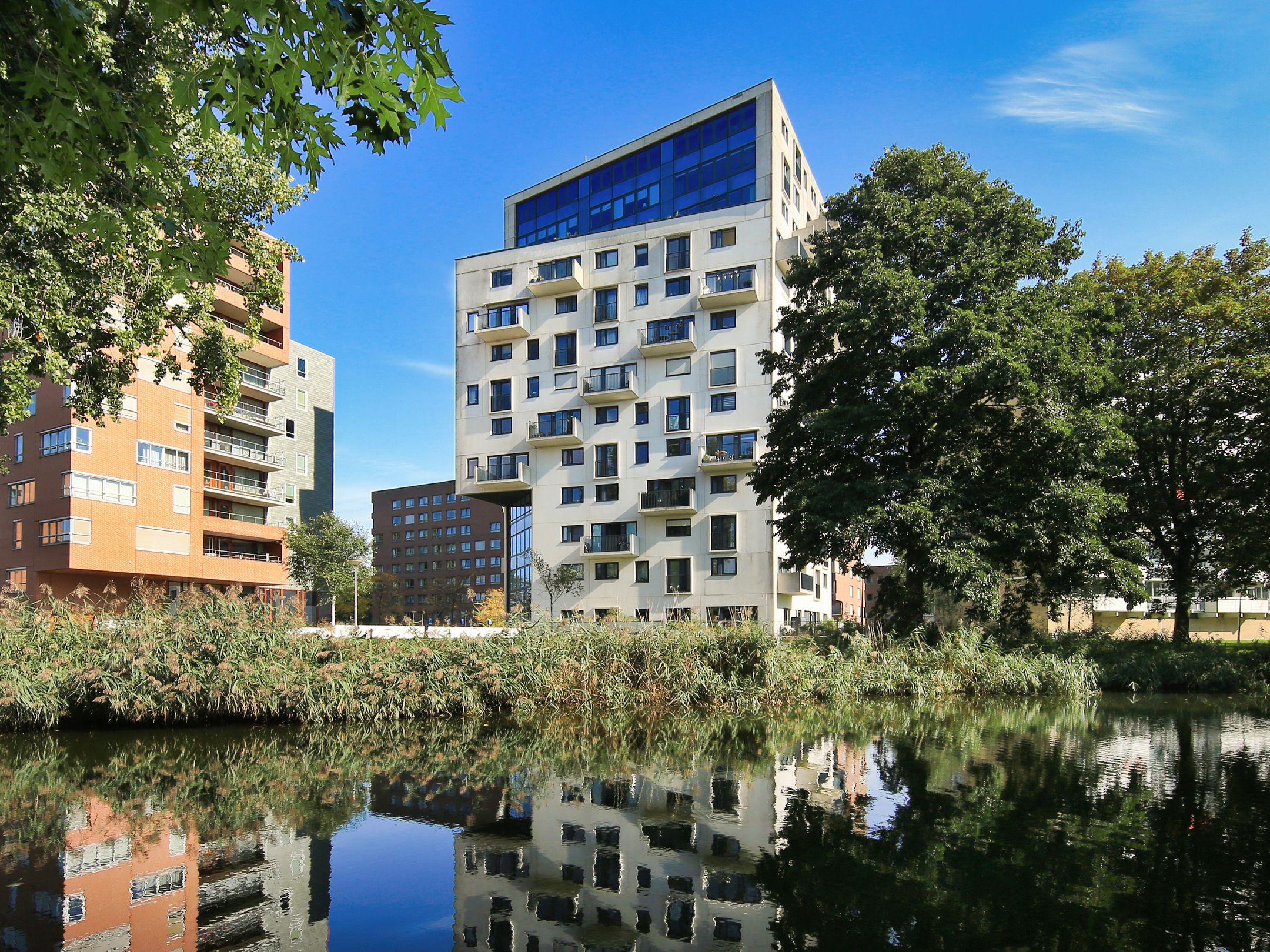 Berkenplein 241 