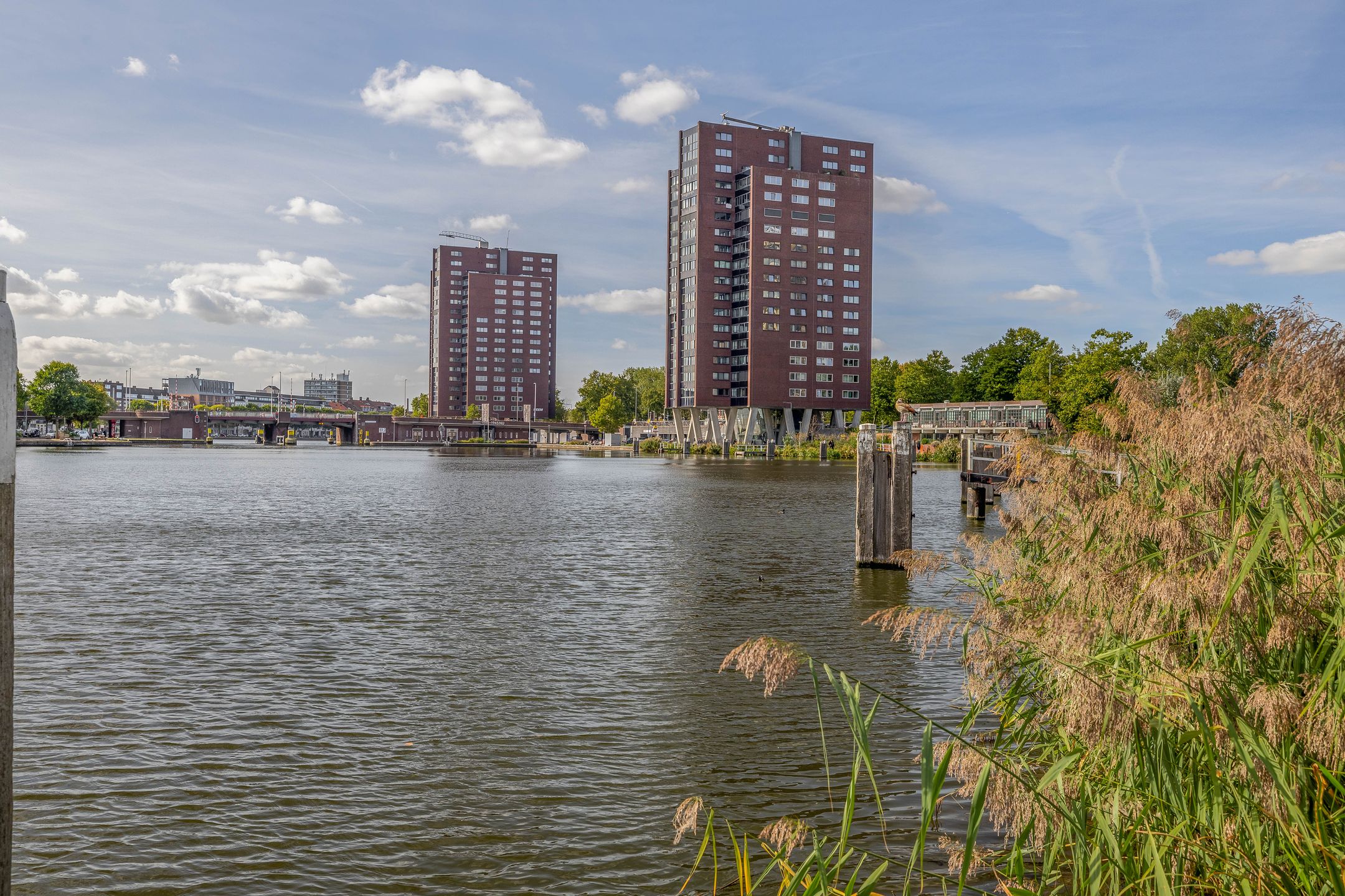 Coolhaven 549 