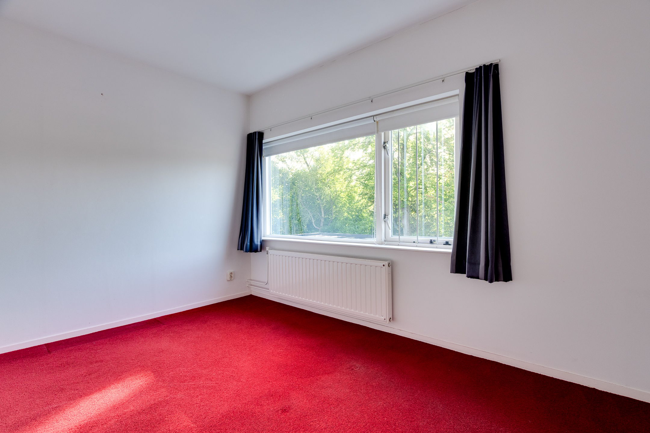 Photo 39 of Prins Bernhardlaan 5