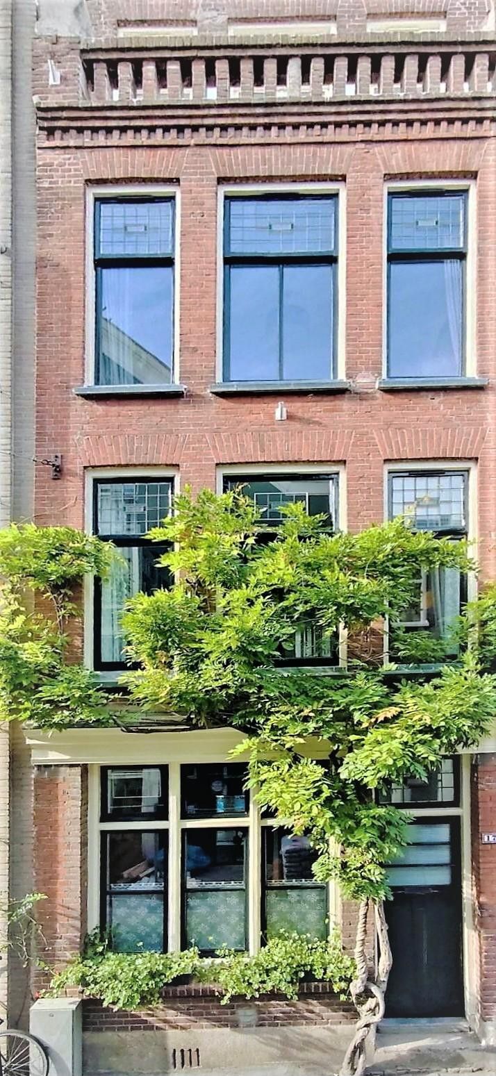 Foto 63 van Egelantiersstraat 172