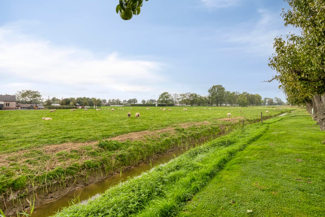 Foto 41 van Waalbandijk 13-A