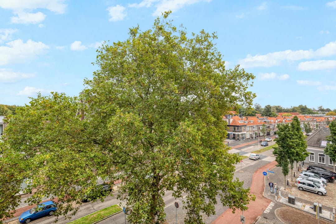 Photo 31 of Noordsingel 142