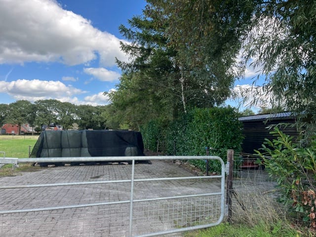 Hogeweg - Zuidlaren - Afbeelding 7