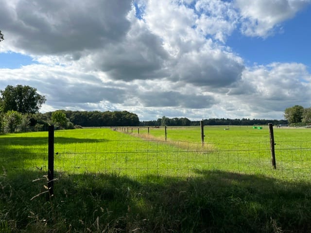 Hogeweg - Zuidlaren - Afbeelding 4