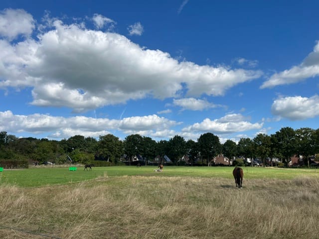 Hogeweg - Zuidlaren - Afbeelding 6
