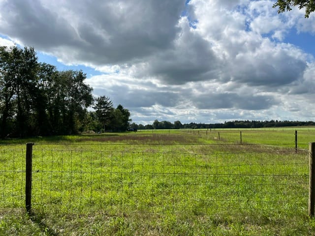 Hogeweg - Zuidlaren - Afbeelding 5