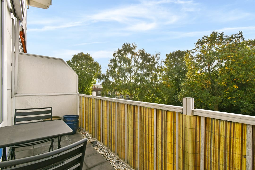 Photo 7 of Pieter Calandlaan 235