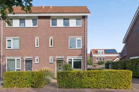 Stakenberg thumbnail