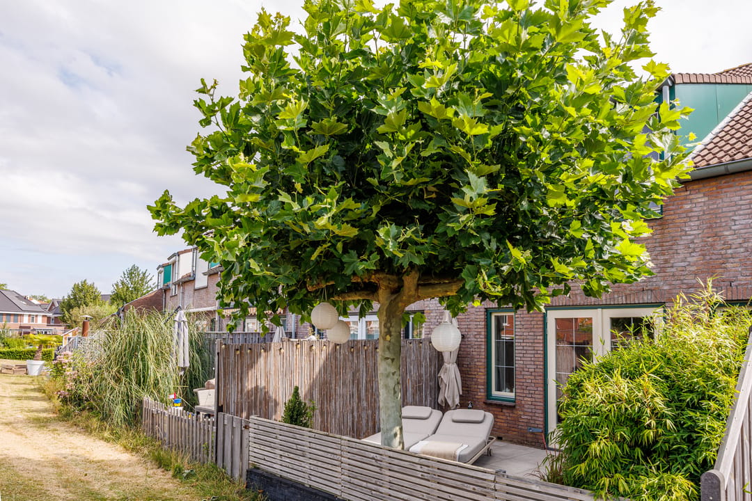 Photo 56 of Slottuin 164