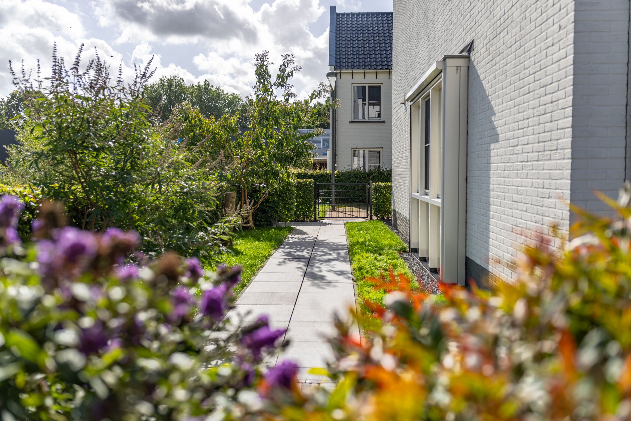 Foto 42 van Wismar 10