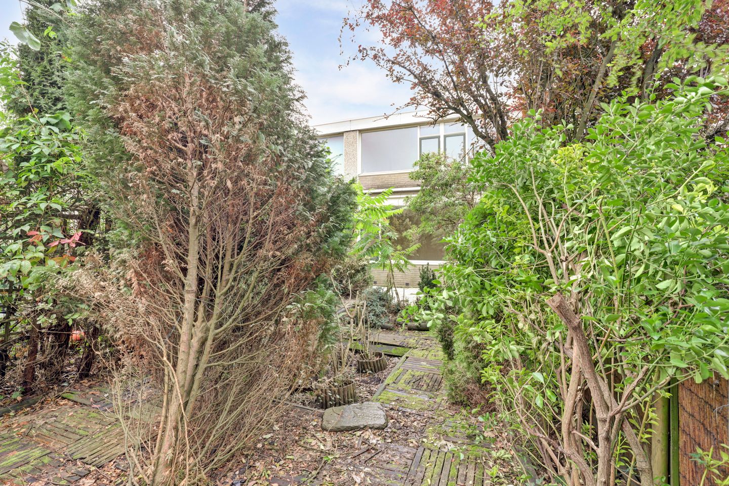 Foto 20 van Wijnberg 30