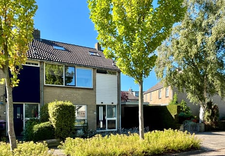 Tulpstraat thumbnail