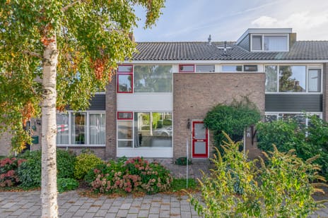 Reinier de Graafstraat thumbnail