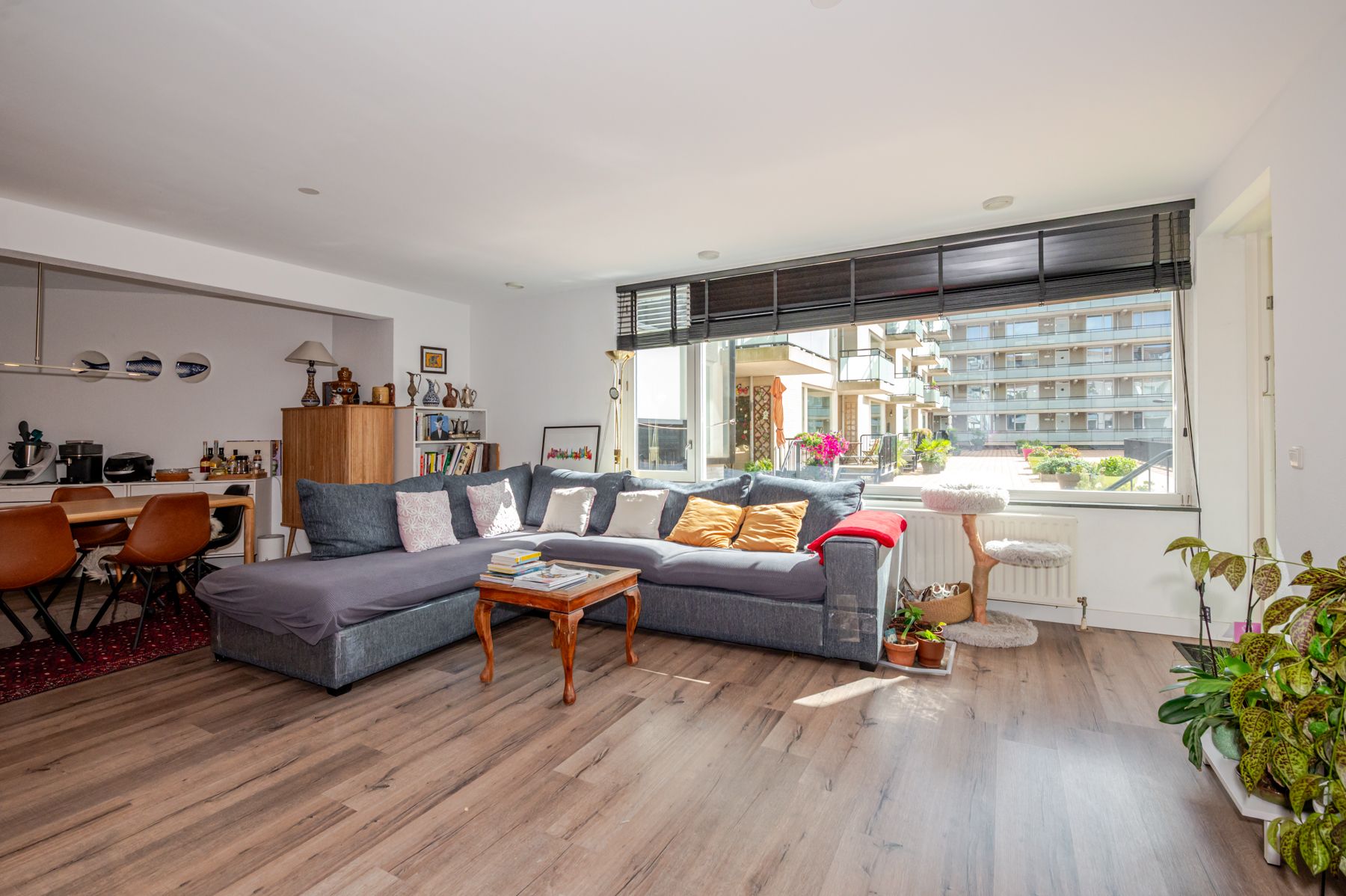 Photo 12 of Zamenhofstraat 110