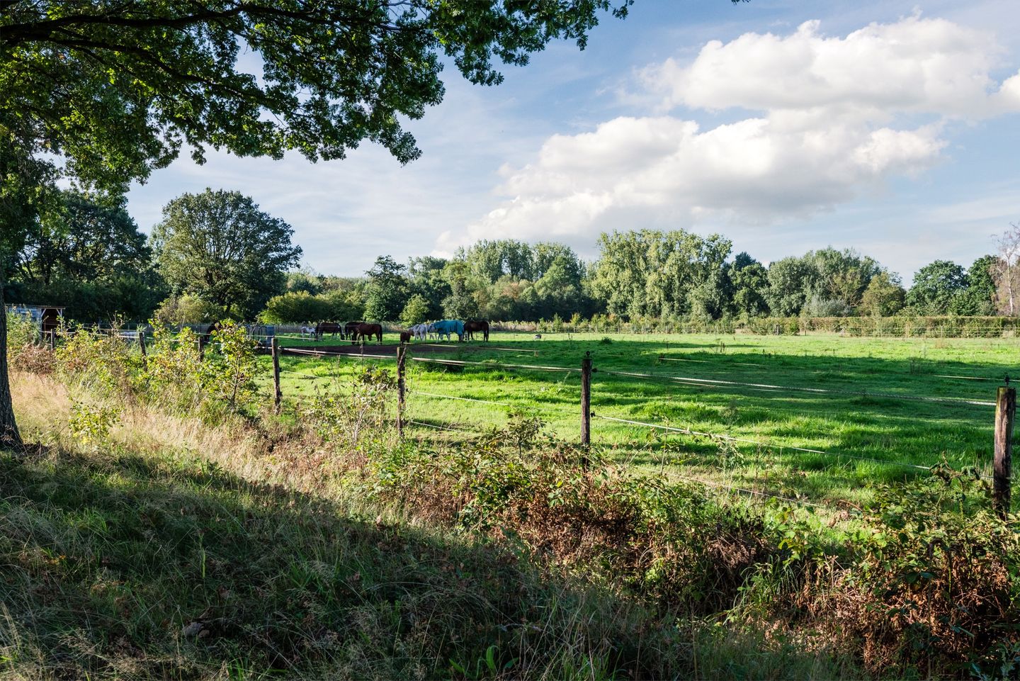 Foto 4 van Aardenweg 27