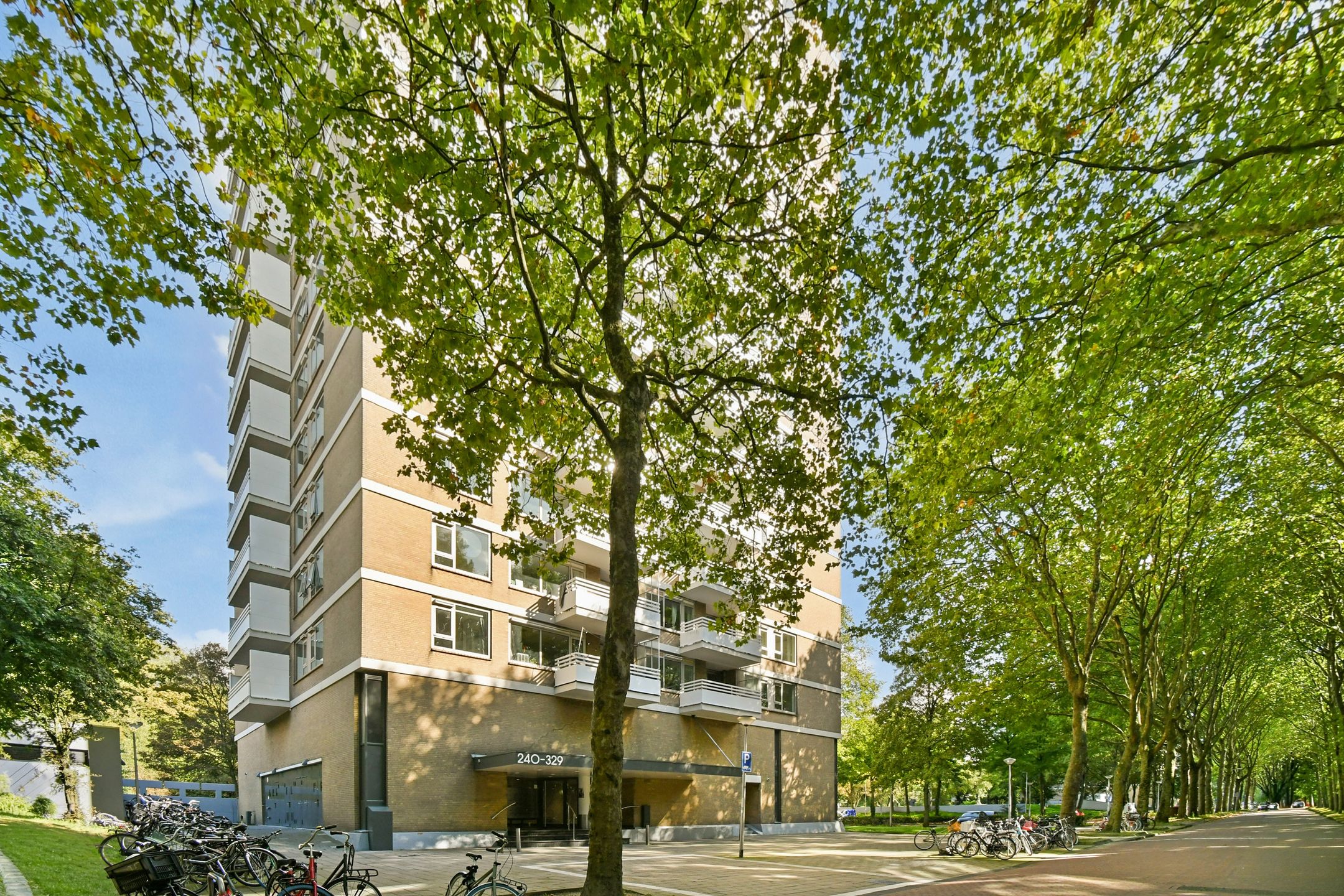 Foto 3 van Nachtwachtlaan 308