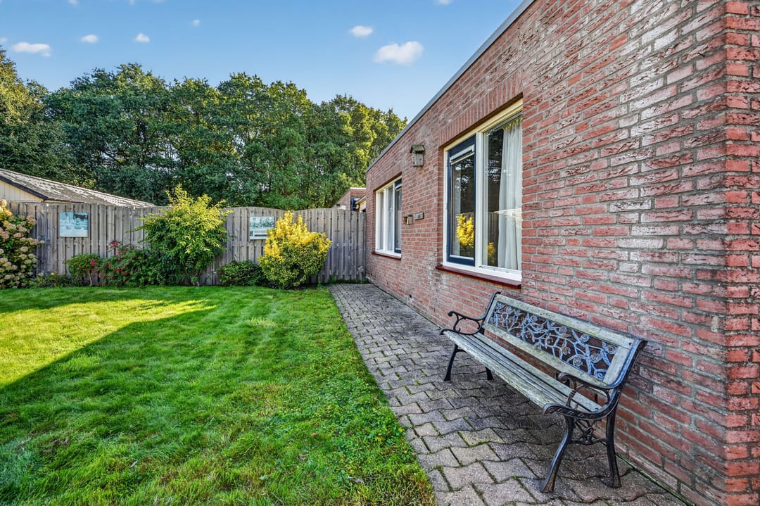 Foto 41 van Akkerdistel 78