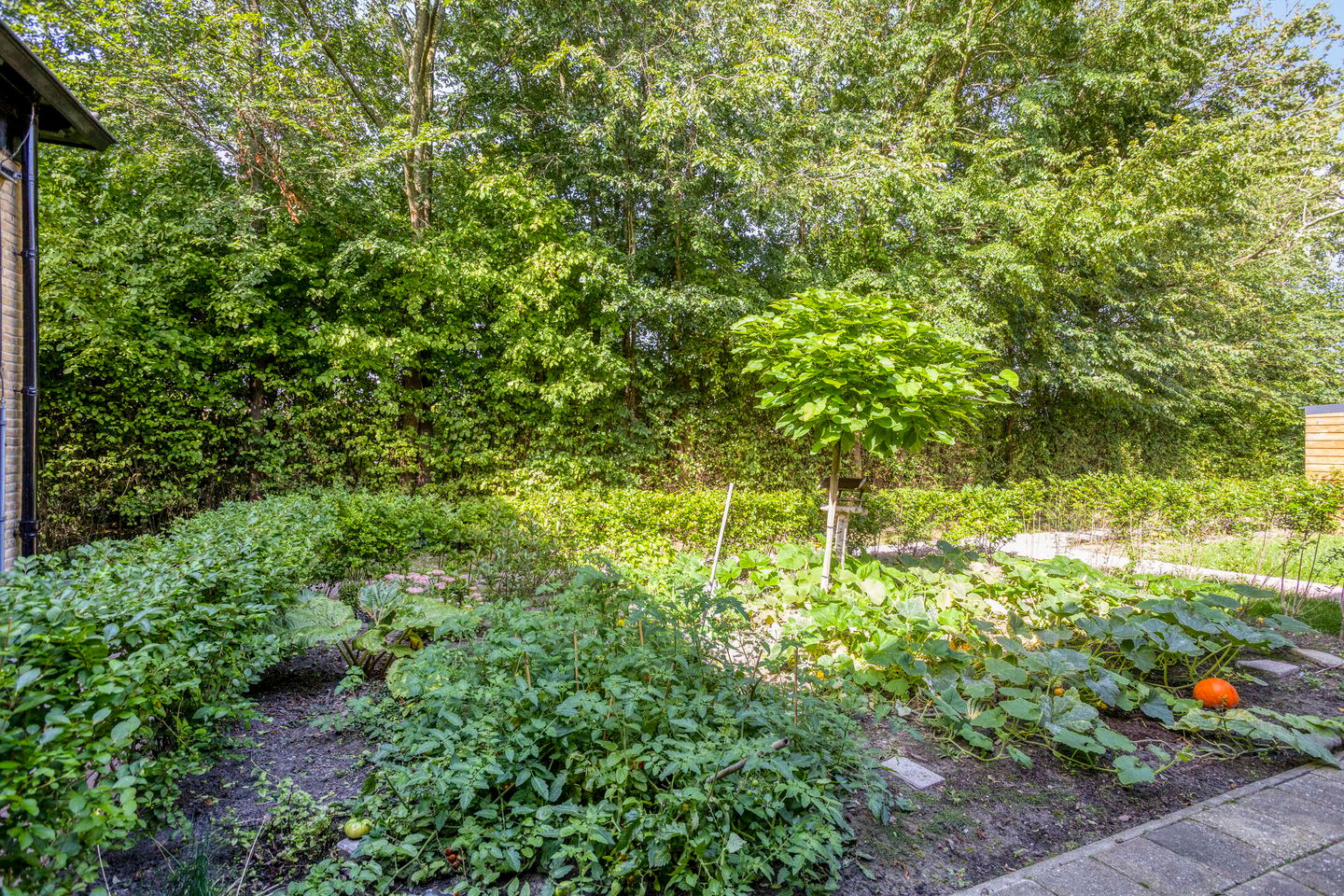 Photo 29 of Hartman Sannesstraat 8-B