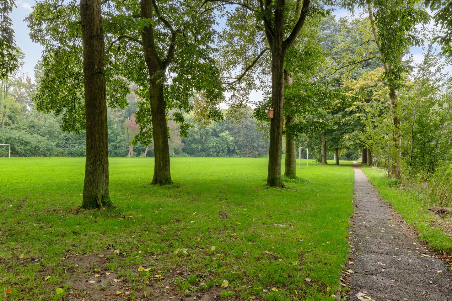 Foto 5 van Jaltadaheerd 101