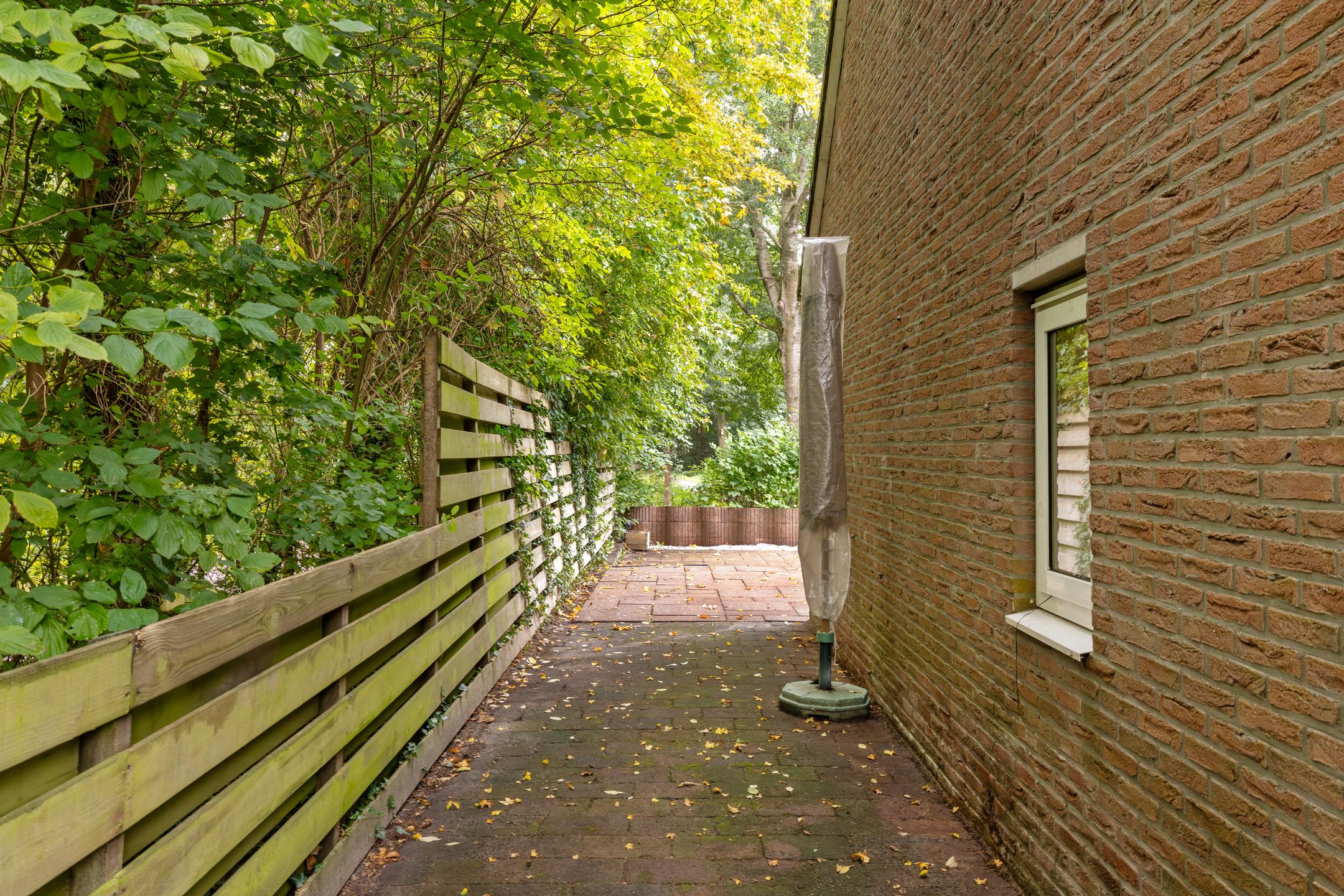 Foto 42 van Jaltadaheerd 101