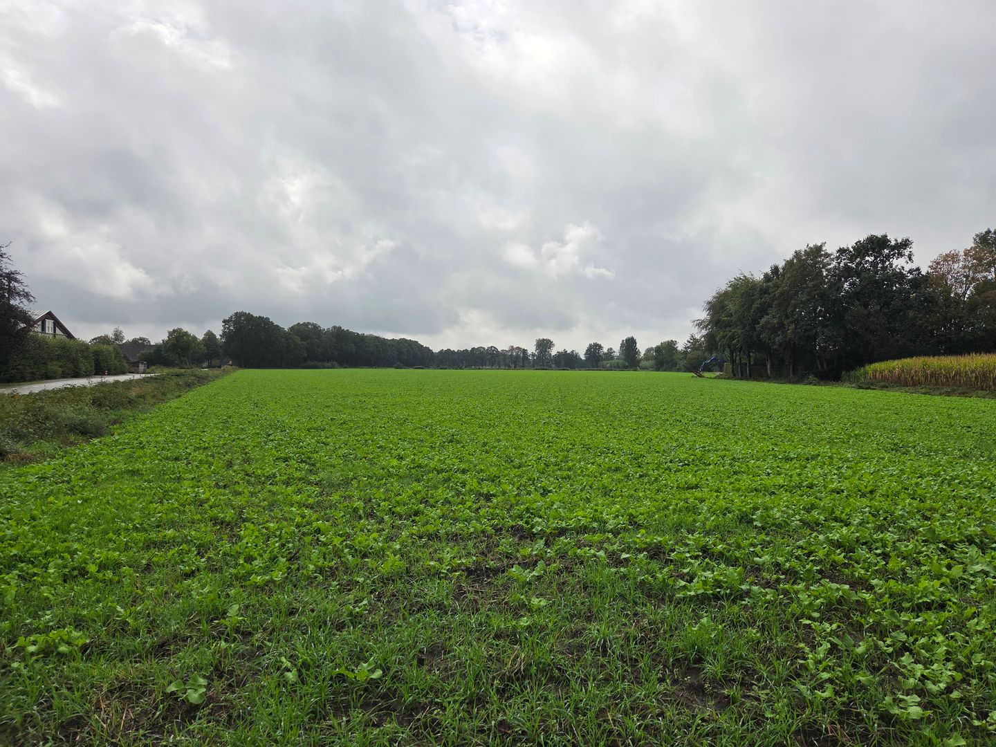 Biestsedijk - Biest-Houtakker - Afbeelding 7