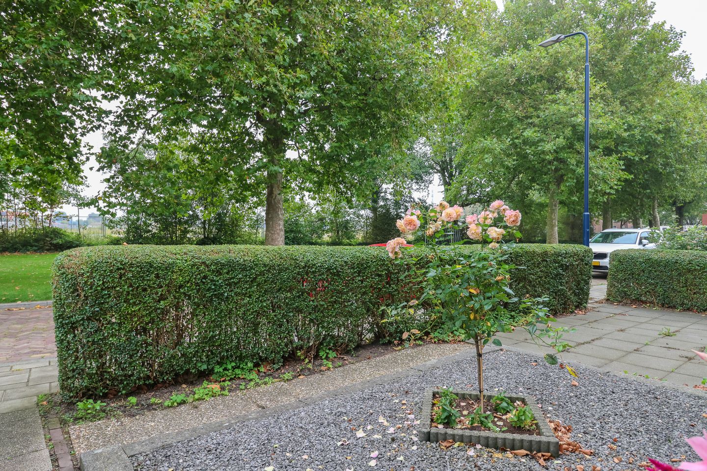 Foto 5 van Oud Jaagpad 4