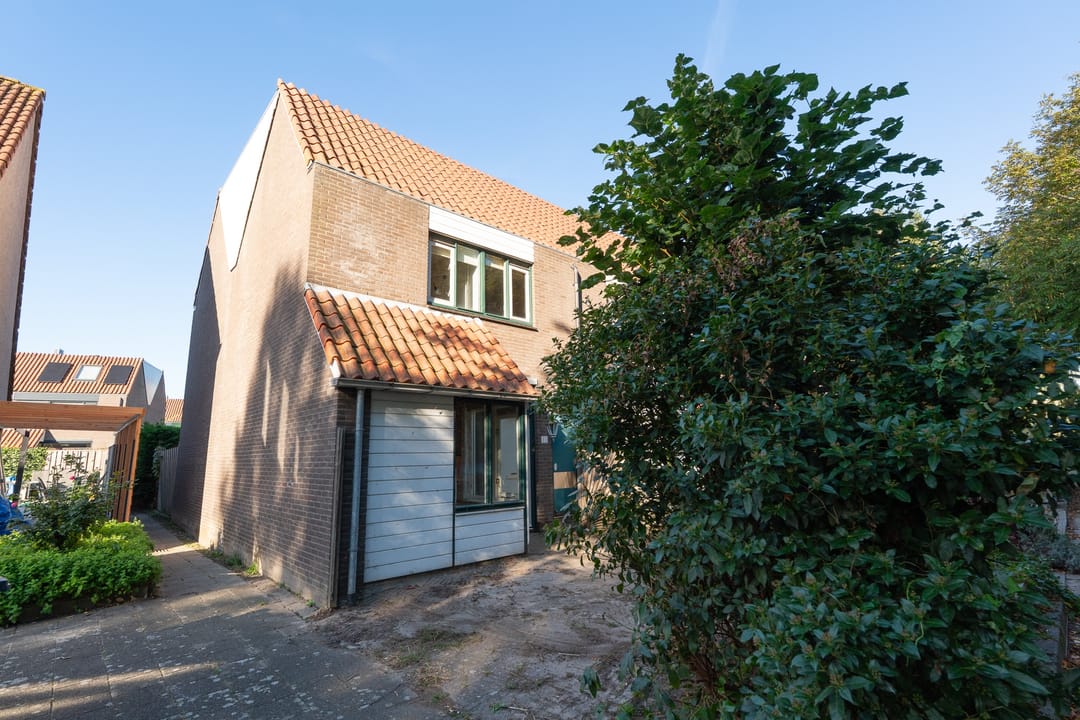Photo 41 of de Brabant 13