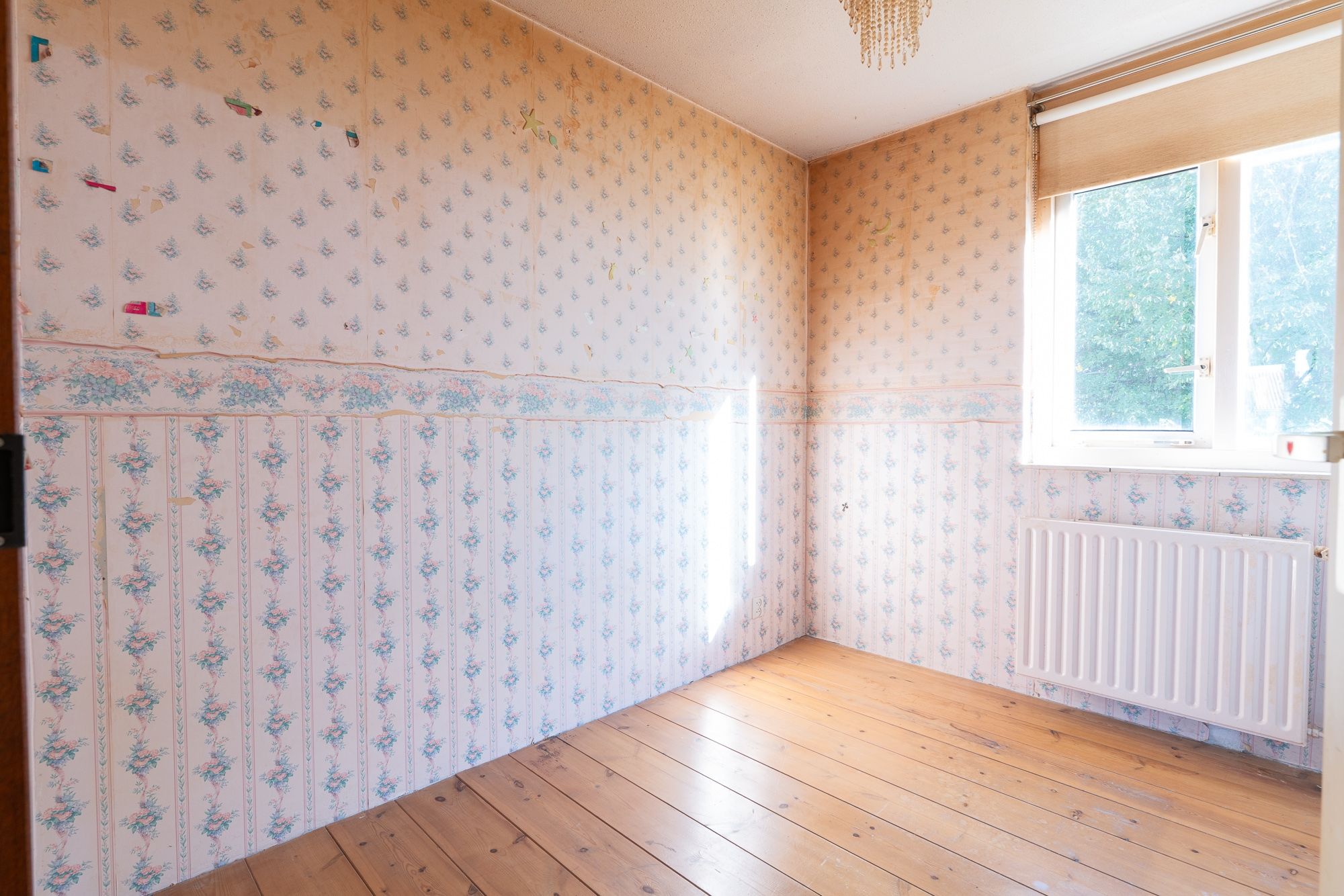 Photo 24 of de Brabant 13