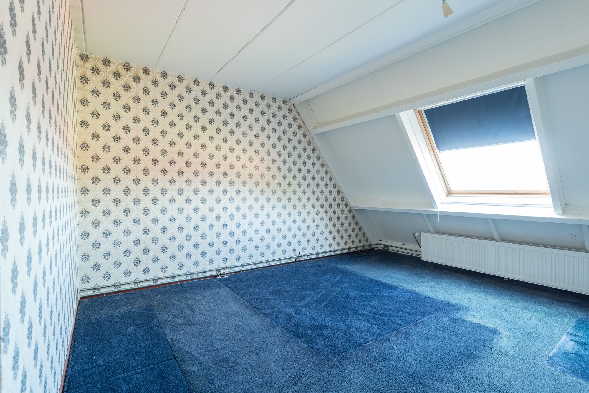 Photo 33 of de Brabant 13