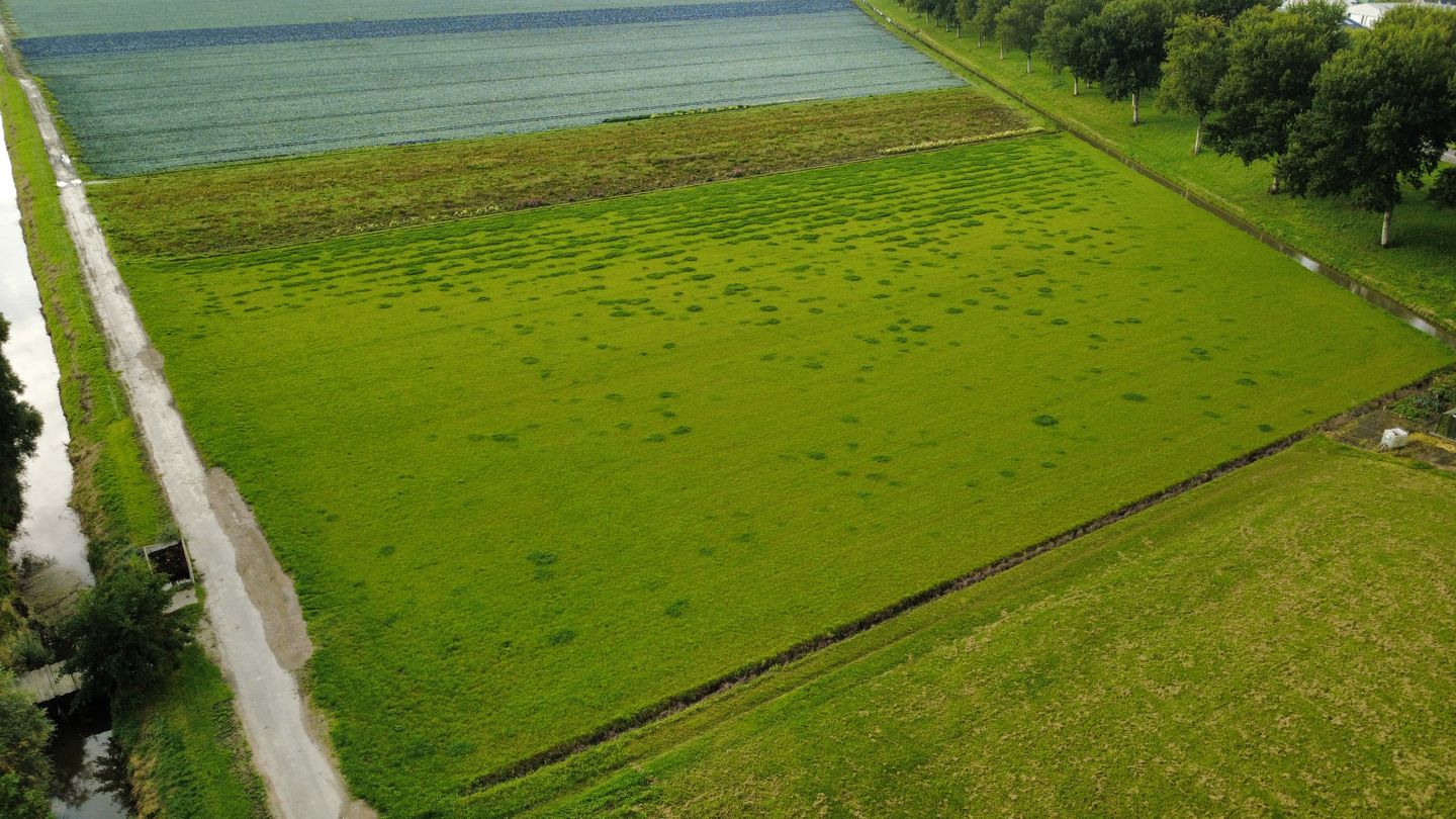 Bekijk foto 2 van Insteekweg