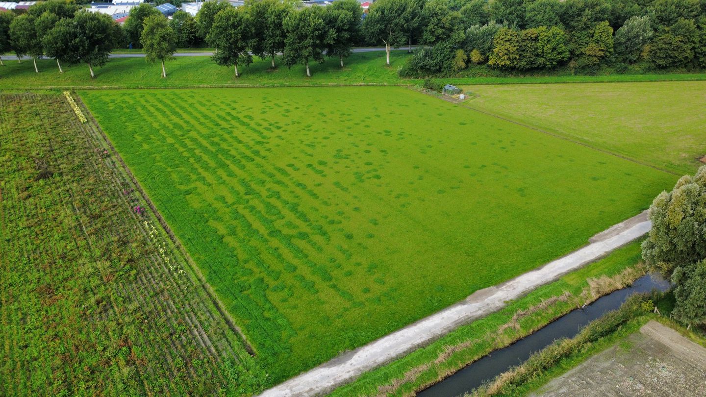 Bekijk foto 4 van Insteekweg