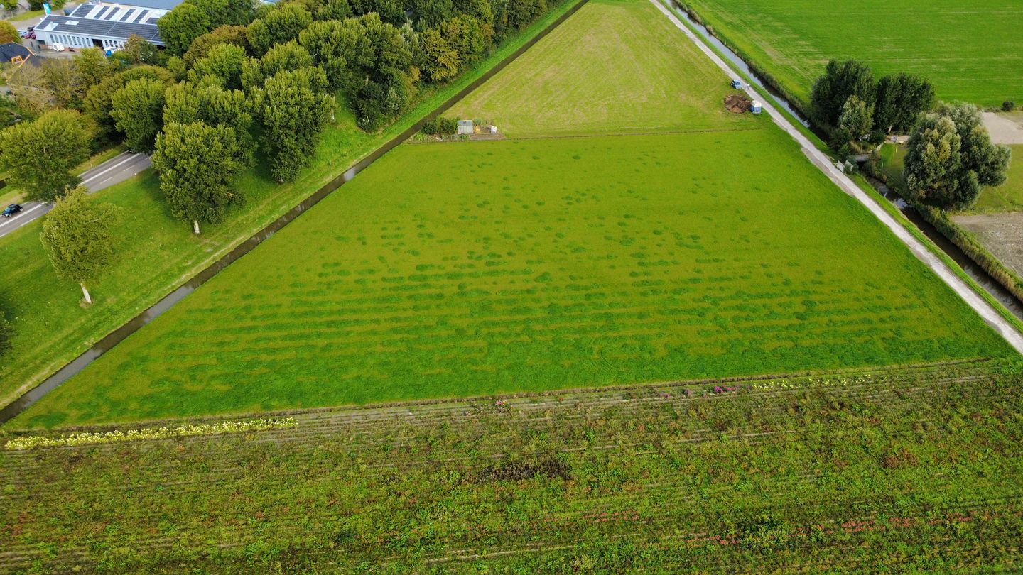 Bekijk foto 5 van Insteekweg