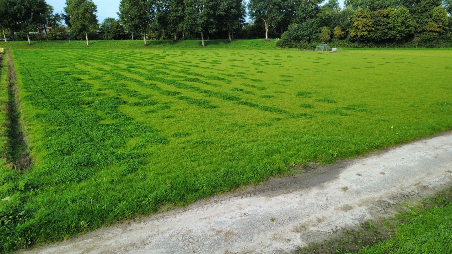 Insteekweg - Dirkshorn - Afbeelding 7