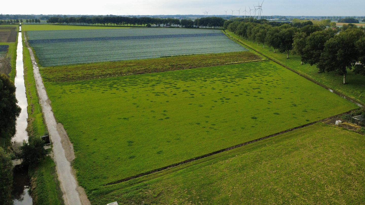 Bekijk foto 3 van Insteekweg