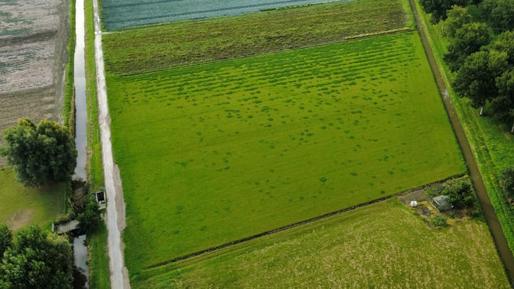 Insteekweg, Dirkshorn