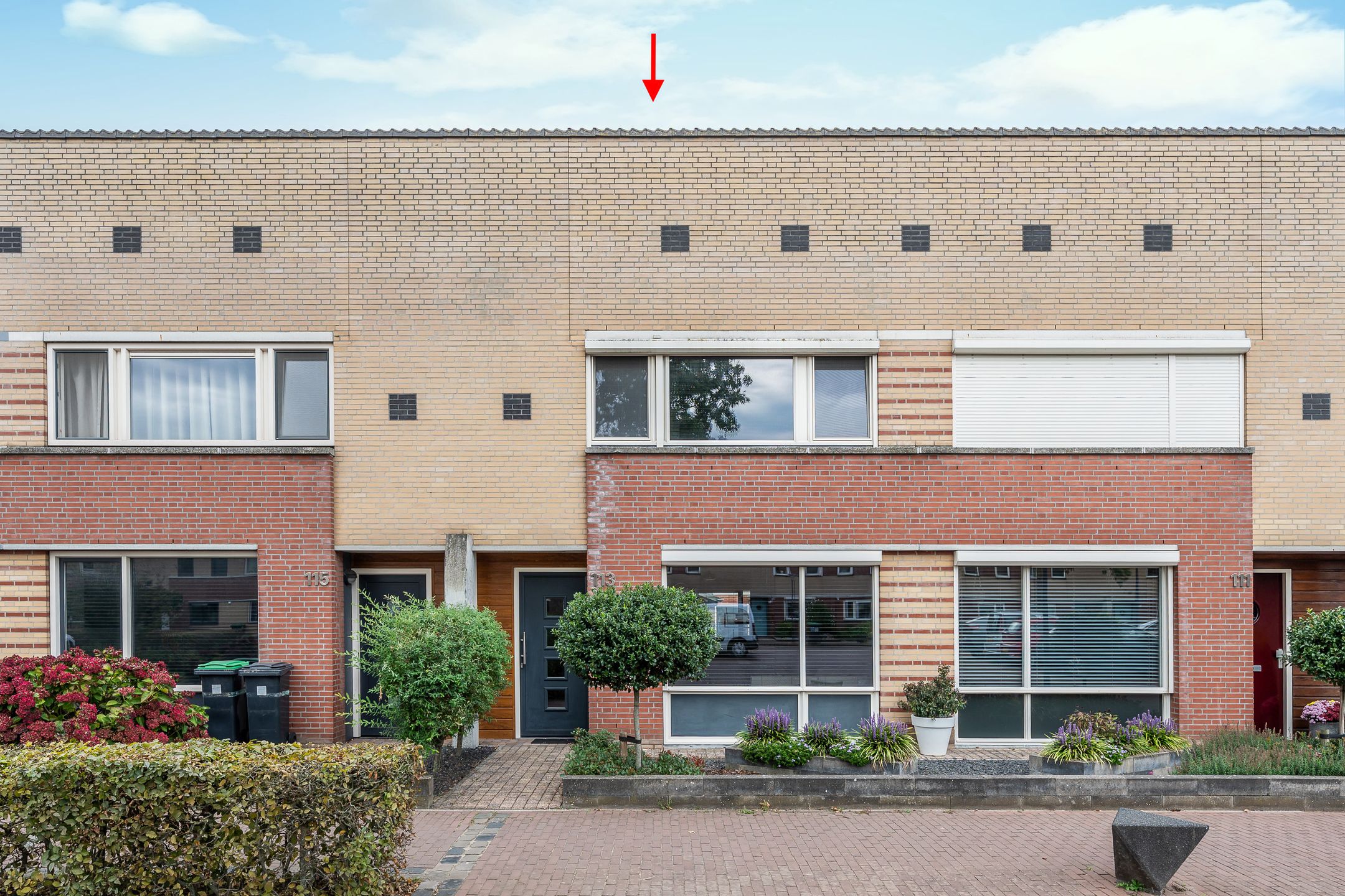Hoenderbosplein 113 