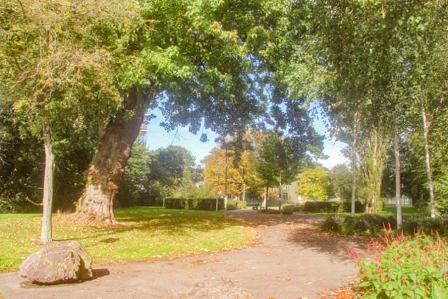 Photo 32 of Dignaland 26
