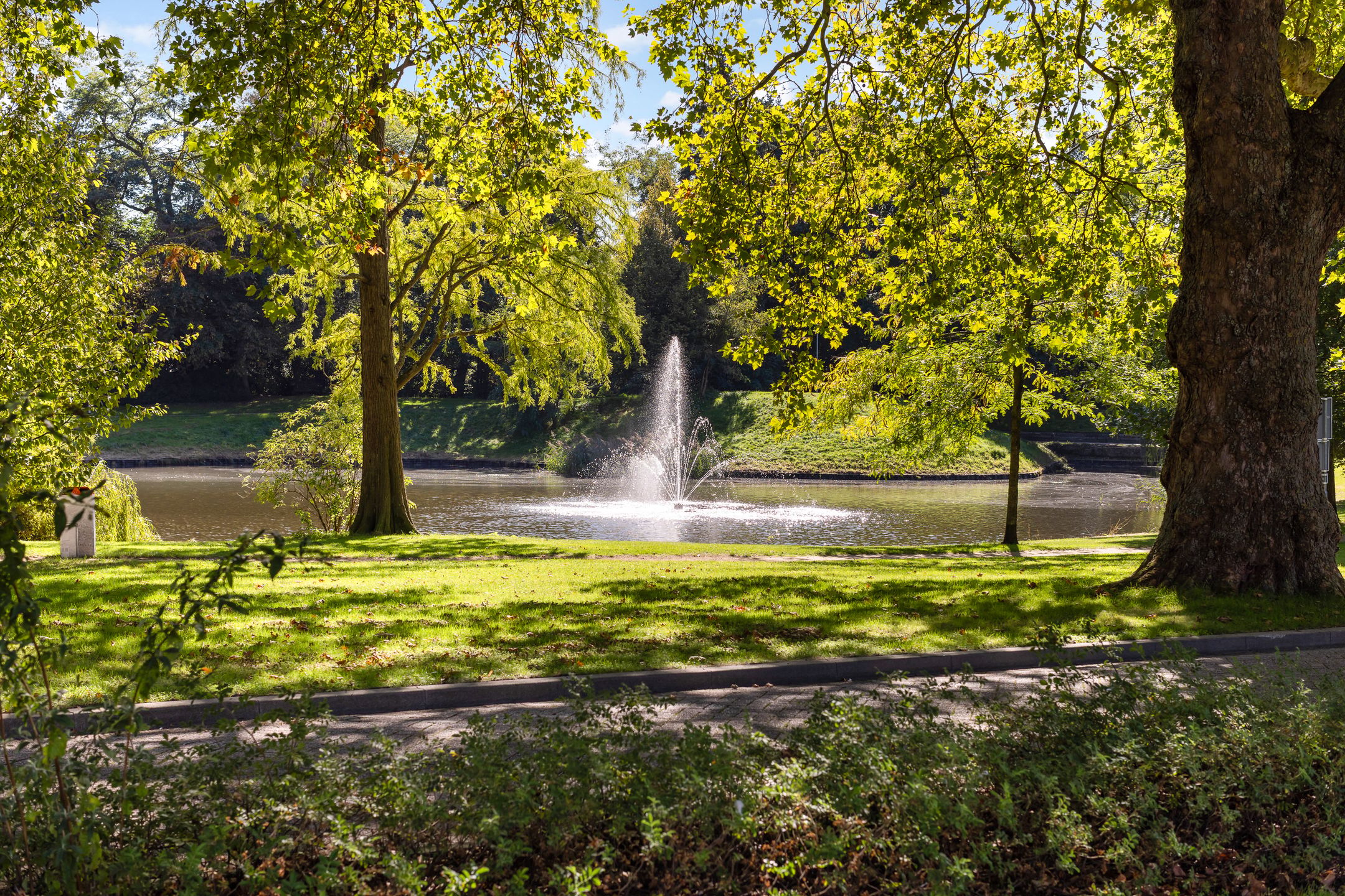Photo 87 of Parklaan 63