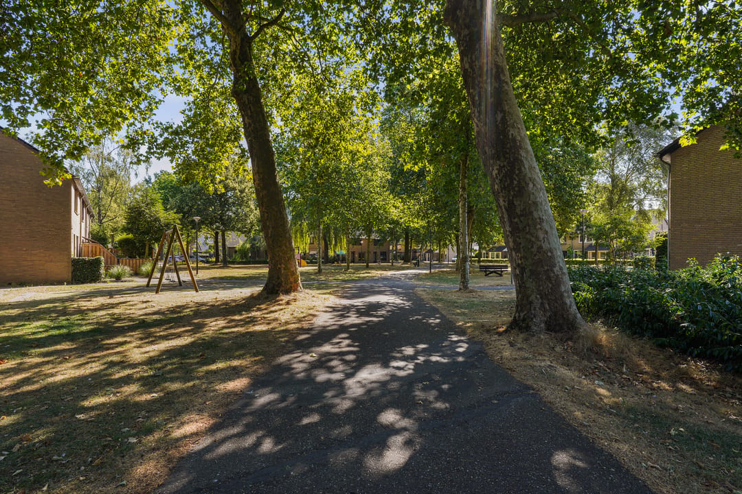 Photo 58 of De Beukums 16