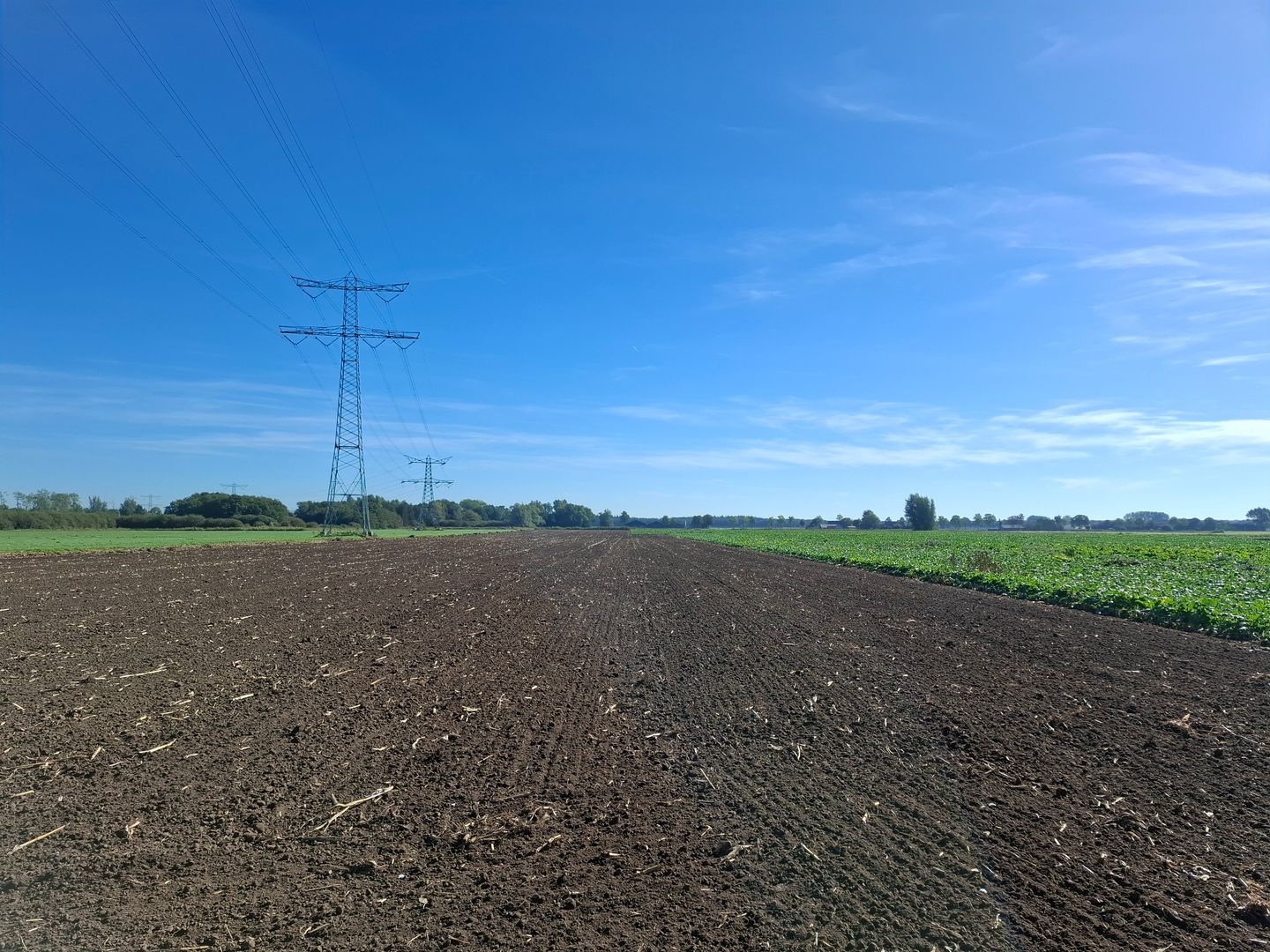 Zevenbergseweg - Etten-Leur - Afbeelding 5