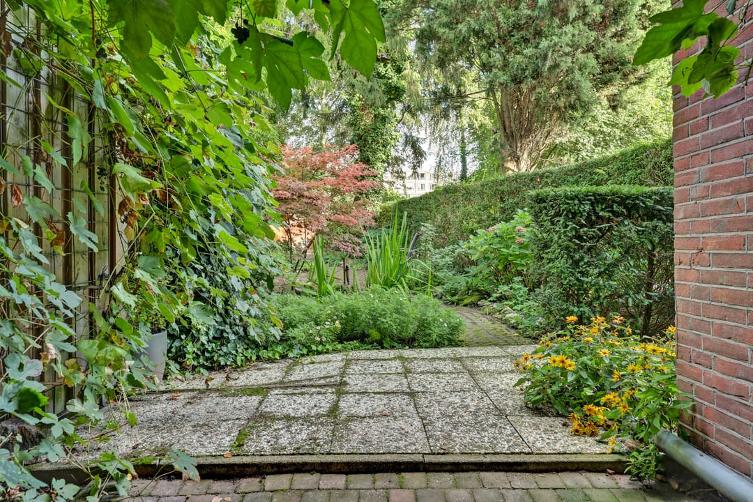 Photo 31 of Hordijk 5